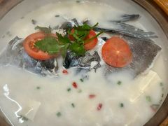 -全乐鱼馆·淳牌有机鱼直营店