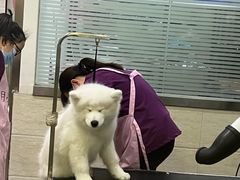 -暖阳宠物医院·犬猫康复中心·骨科