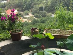 -葛子涧农家宴