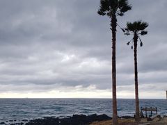 -Cafe Aewol Monsant