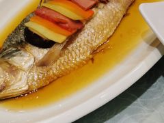 清蒸鲥鱼-金米箩大酒店(五角场店)