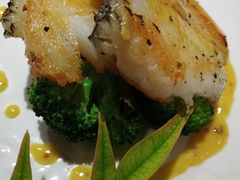 -月下料理(楷林IFC店)