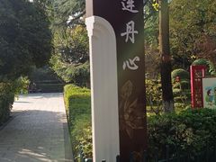 -莲湖公园