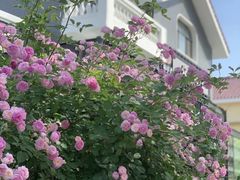 -蜀留香火锅·始于1999·原四川老火锅(白堤路店)