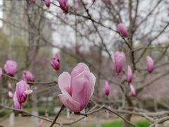 -白塘生态植物园