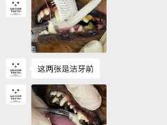 -爱妮康宠物医院·干细胞免疫细胞·肿瘤·心脏(张江店)