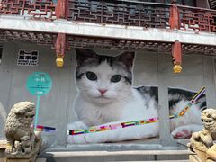 -方浜中路45弄小区