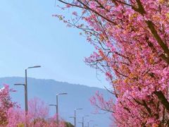 -昆明动物园
