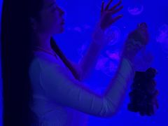 -沈阳海洋探索中心