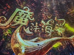 -海合安武汉极地海洋公园