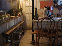 -海边的猫和咖啡馆