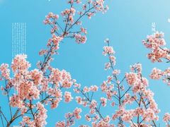 -上海辰山植物园