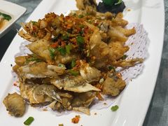 -朱记乳鸽王·非遗石岐乳鸽·全鸽宴(大兴旗舰店)