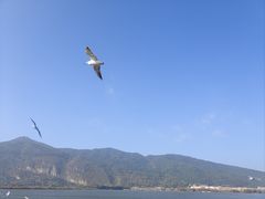 -海埂大坝