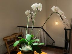 大堂-林四喜·闽南传家菜(鼓浪屿店)