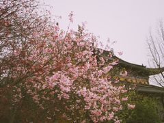 -北寺塔