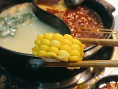 -钢管厂五区小郡肝火锅串串香(总店)