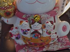 -美可普口腔医院(东街分店)