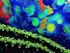 -天津梵高星空艺术馆(天河城旗舰店)