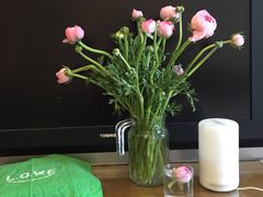 -杭州街角花屋花店(闻堰店)