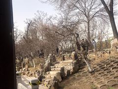 -桃花堤公园