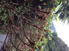 iphone_upload_pic-德庆盘龙峡生态旅游区