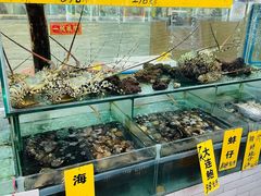 水产区-寻味顺德·南记酒家·传统顺德菜·鱼生(广源路店)