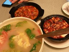 -陈麻婆豆腐总店
