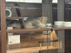 -Apple零售店(西单大悦城店)