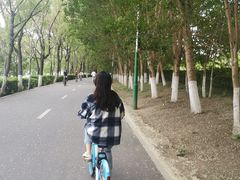 -长白岛森林公园