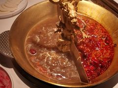 -小龙翻大江文化火锅(宽窄店)