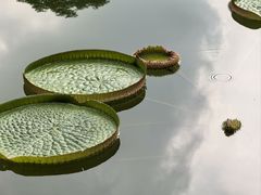 -云溪植物园