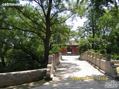 -阳台山自然风景区