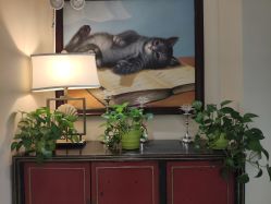 -咪咪比基尼脱毛专业店