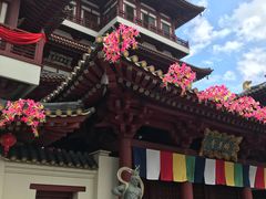 -新加坡佛牙寺龙华院