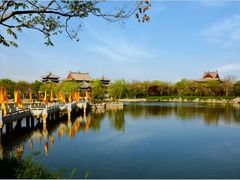 -大槐树寻根祭祖园