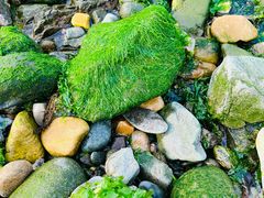 -银沙滩浴场