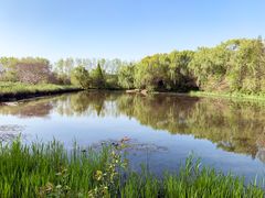 -溱湖国家湿地公园