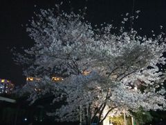 -玉山公园