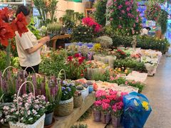 -双季花艺园艺市场(浦东店)