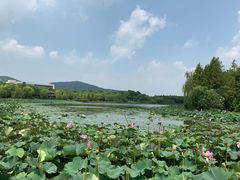 -江南大学(蠡湖校区)