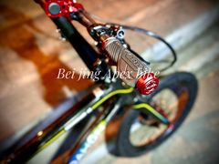 -大行Dahon自行车·北京顶点单车apex bike·ARAI摩托车头盔(白塔寺专卖店)