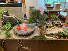 -东椰·海南椰子鸡火锅(朝阳门店)