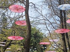 -人民公园(罗湖区)