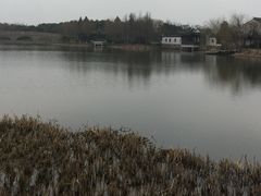-尚贤河湿地