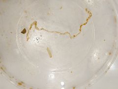 -武汉交通职业学院