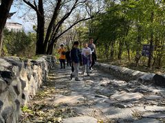 -阳台山自然风景区