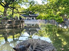 -西园戒幢律寺