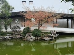 -秋霞圃