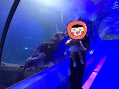 -重庆欢乐海底世界
